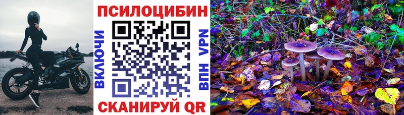Псилоцибиновые грибы Magic Shrooms  магазин продажи   нарко площадка какой сайт  Реутов  мега ТОР 